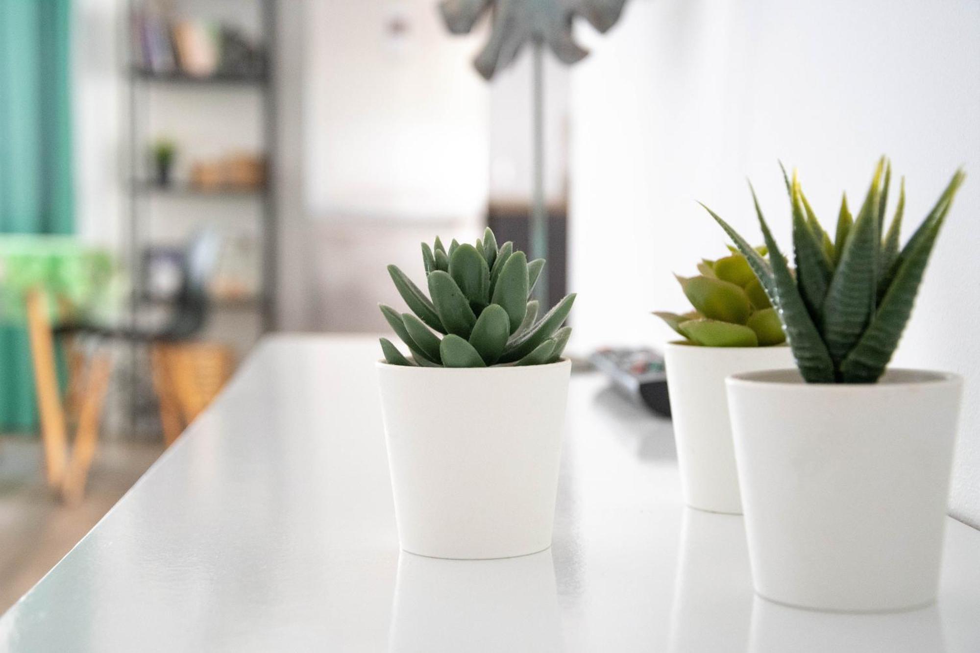 Apartamentos Rurales 콘일데라프론테라 외부 사진